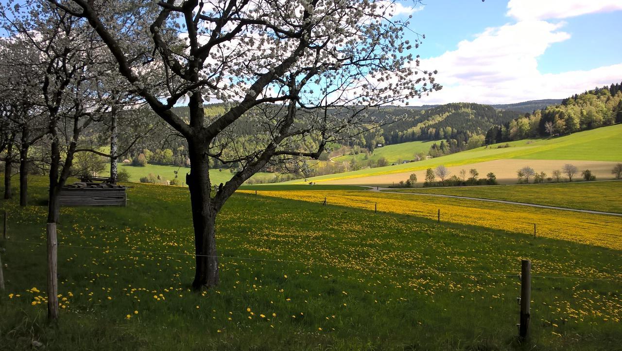 Ferienwohnungen Weissflog Schwarzenberg  Exterior photo